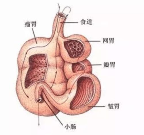 英國企業(yè)研發(fā) 牛用減排口罩 減少碳排放 小題大做 還是確有必要