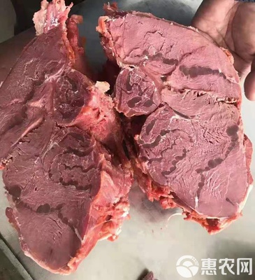 牛肉類 牛羊肉,牛羊肉副產品批發(fā)牛龜腱子肉