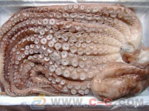 東安縣章魚價(jià)格 章魚批發(fā)銷售 章魚廠家批發(fā)