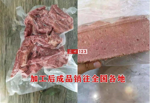 廊坊霸州男子曝光黑作坊 都是過(guò)期變質(zhì)的牛羊肉,銷往全國(guó)各地