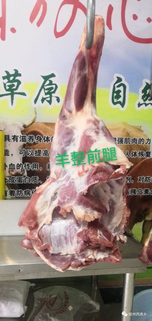 膠州生鮮牛羊肉批發(fā) 一斤也批發(fā)